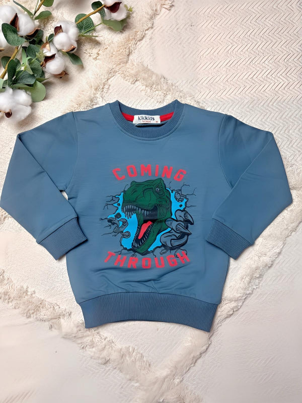 Jungen T-Shirts - 100% Baumwolle - Größen 92-110
