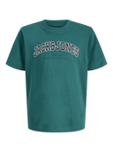 Jack & Jones Junior Print-T-Shirt aus gekämmter Baumwolle mit kurzen Ärmeln