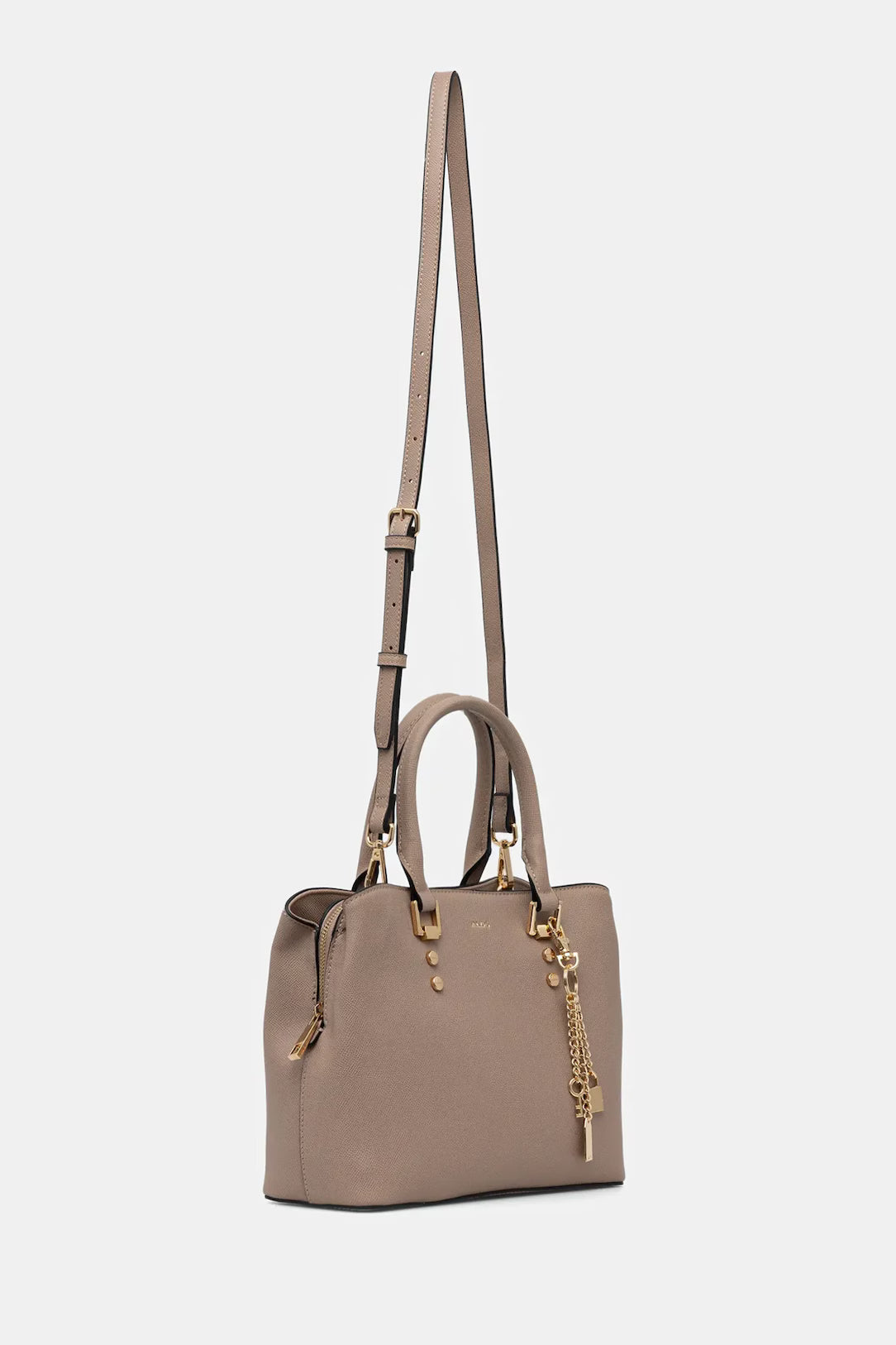 Aldo LEGOIRII Handbag