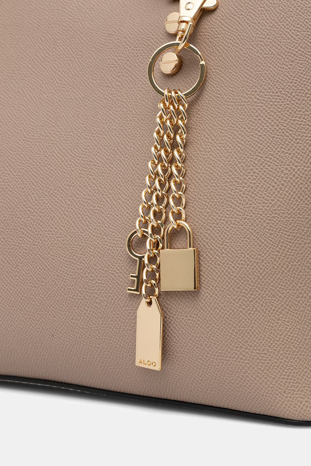 Aldo LEGOIRII Handbag