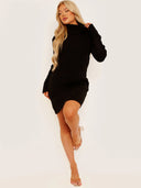 Ribbed knit turtleneck dress (bodycon)