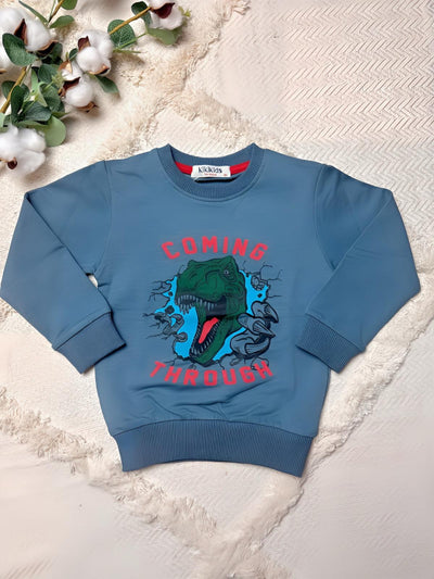 Jungen T-Shirts - 100% Baumwolle - Größen 92-110