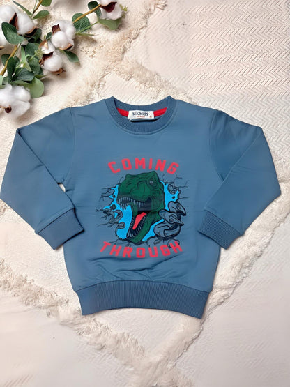 Boys' T-shirts - 100% cotton - sizes 92-110