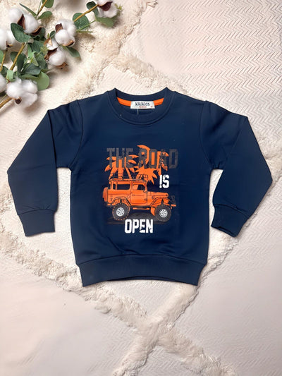Jungen T-Shirts - 100% Baumwolle - Größen 92-110
